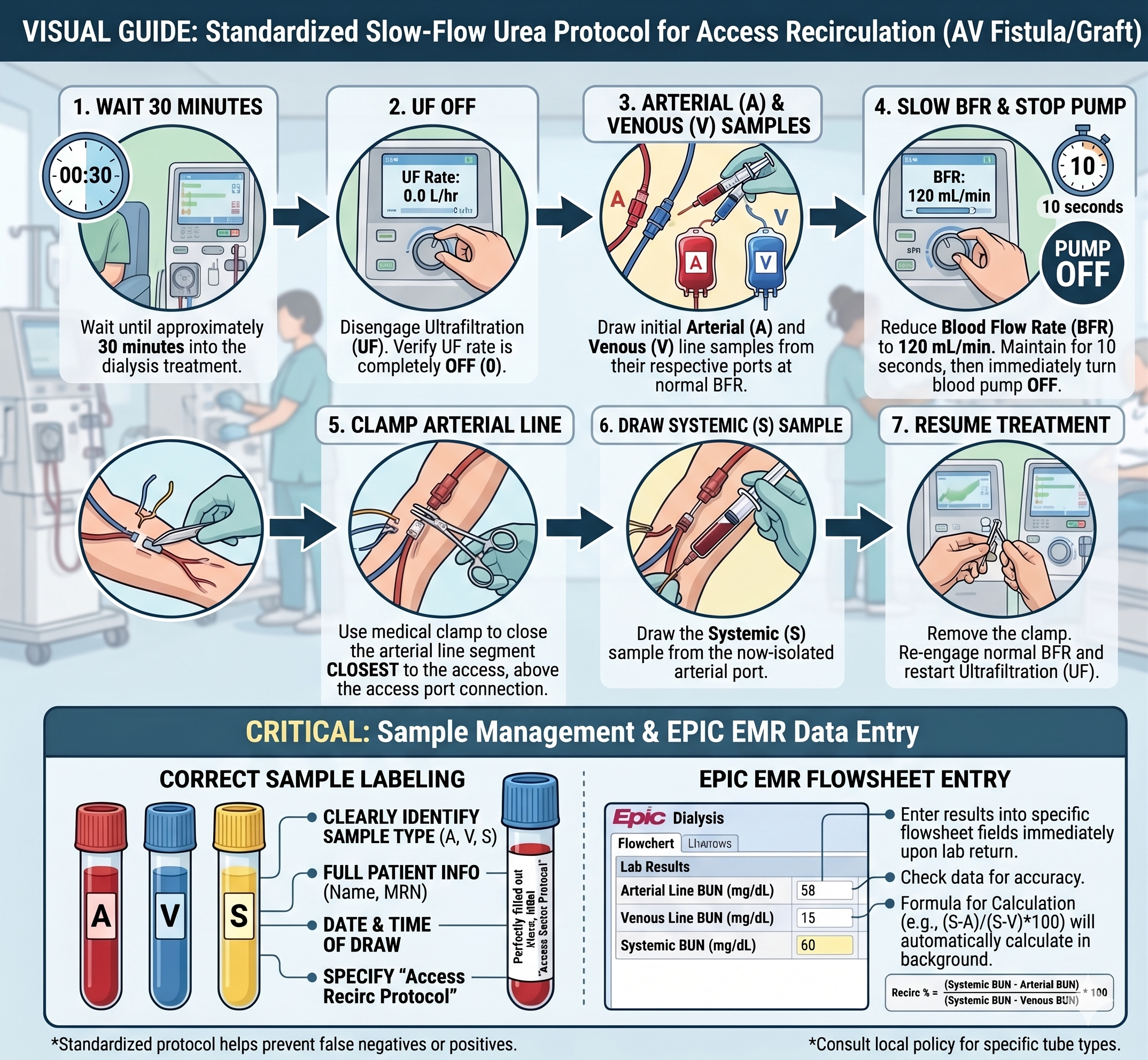 Blood Draw Protocol Illustration